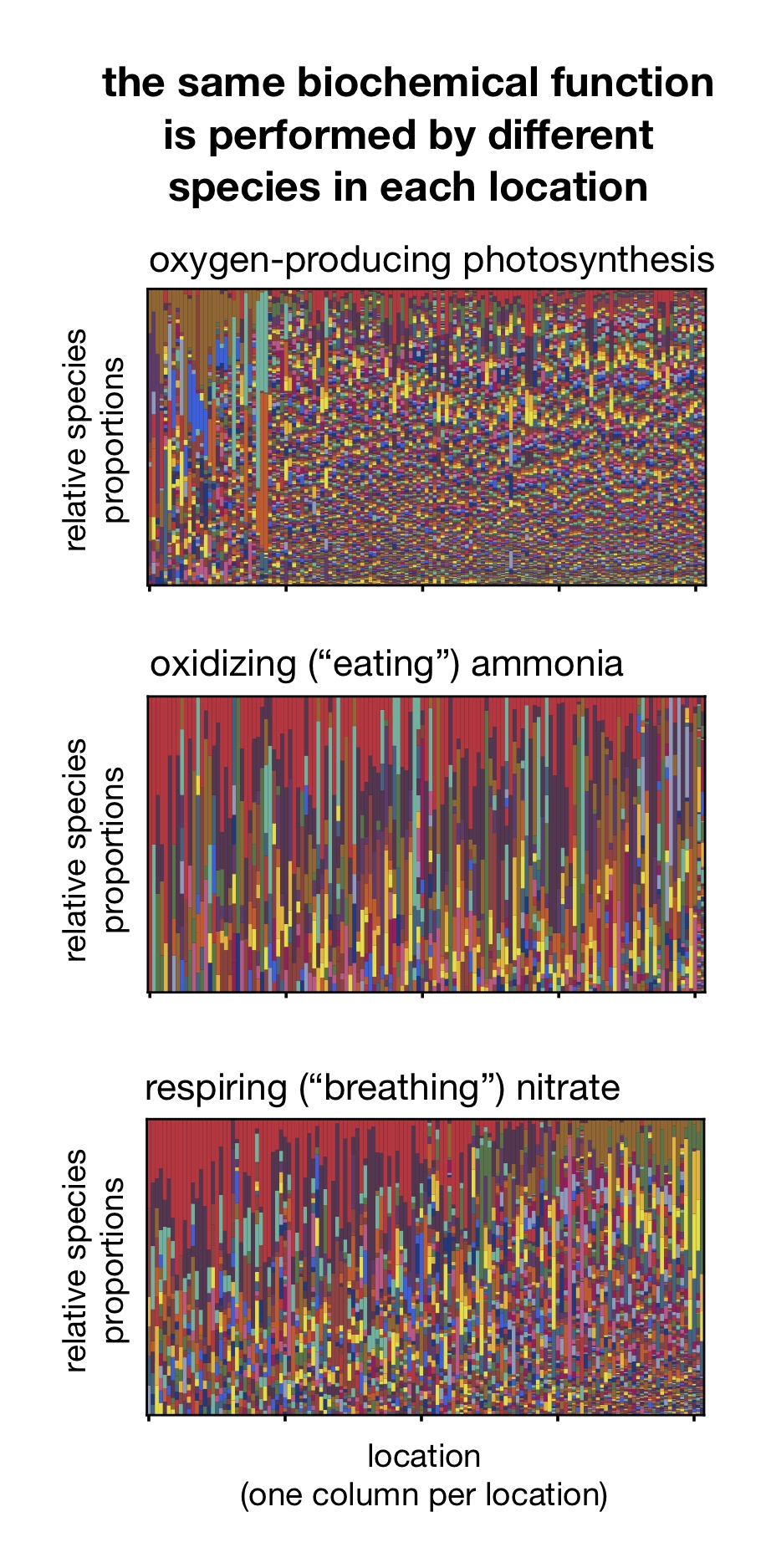 species composition per metabolic function